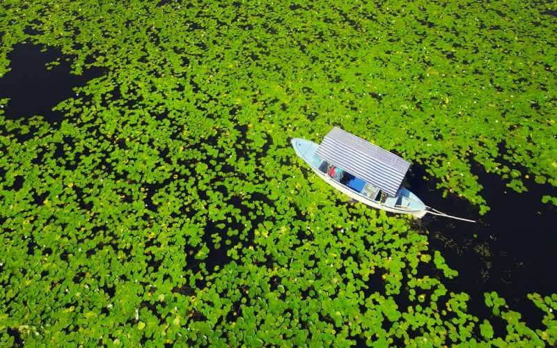 Boat among water lilies on Lake Işıklı