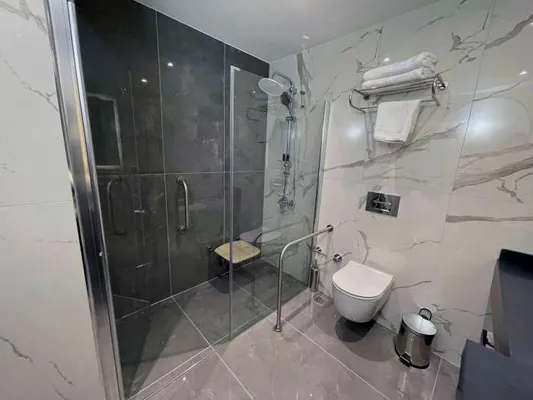 Standard Room bathroom: shower cabin and toilet