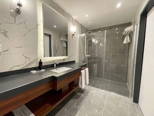 Standard Room bathroom: washbasin, mirror and shower cabin
