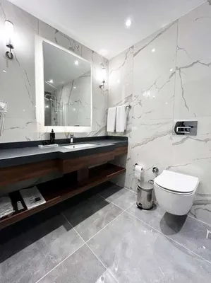 Family Room bathroom: washbasin and toilet